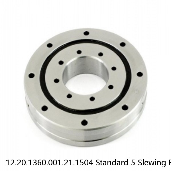 12.20.1360.001.21.1504 Standard 5 Slewing Ring Bearings