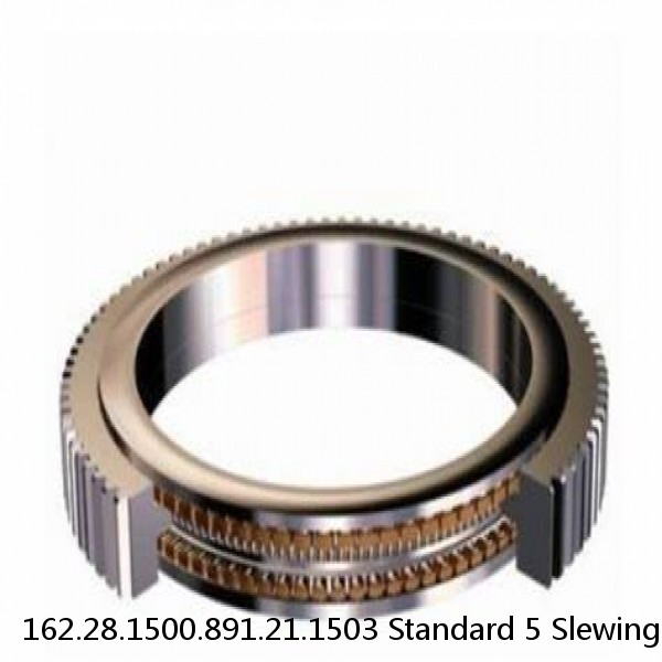 162.28.1500.891.21.1503 Standard 5 Slewing Ring Bearings
