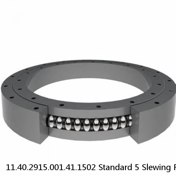 11.40.2915.001.41.1502 Standard 5 Slewing Ring Bearings
