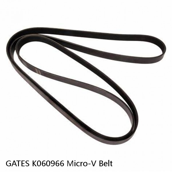GATES K060966 Micro-V Belt 