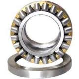 80 mm x 110 mm x 25 mm  JNS NKI 80/25 Needle roller bearings