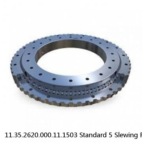 11.35.2620.000.11.1503 Standard 5 Slewing Ring Bearings