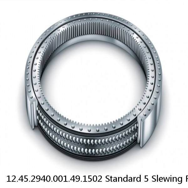 12.45.2940.001.49.1502 Standard 5 Slewing Ring Bearings