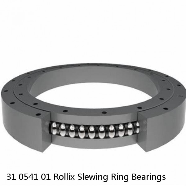 31 0541 01 Rollix Slewing Ring Bearings