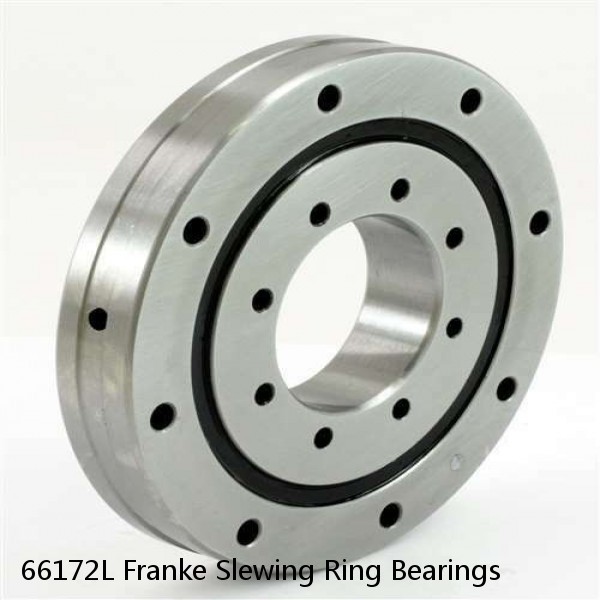 66172L Franke Slewing Ring Bearings