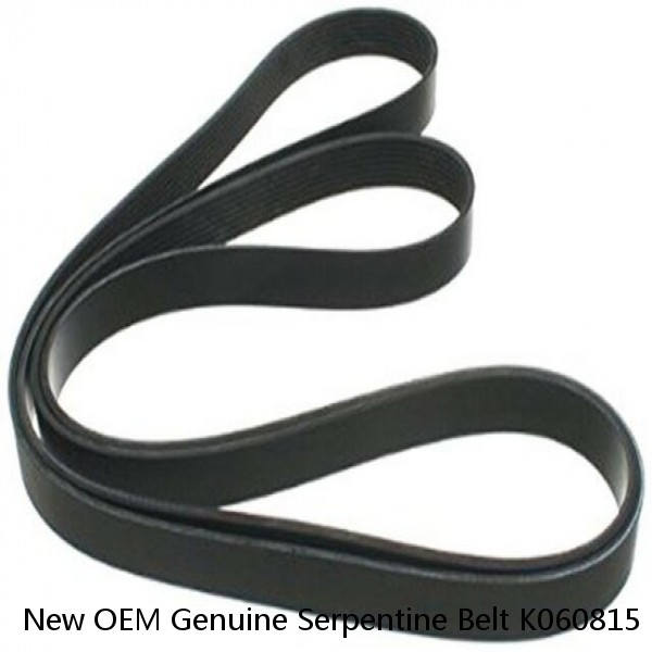 New OEM Genuine Serpentine Belt K060815 Made by Audi FITS MANY VEHICLES!