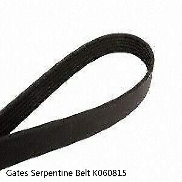 Gates Serpentine Belt K060815